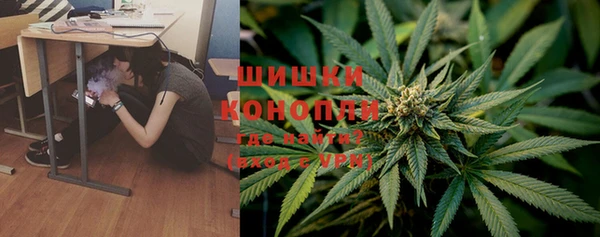 сатива Семикаракорск